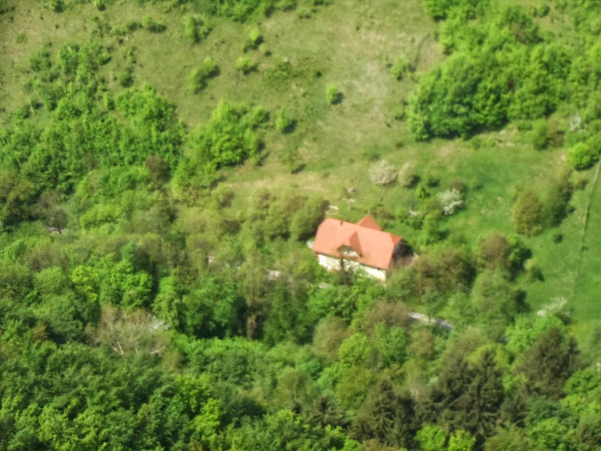 Nicehead Spacious Nest Between Maribor And Celje Lejlighed Loče pri Poljčanah Eksteriør billede